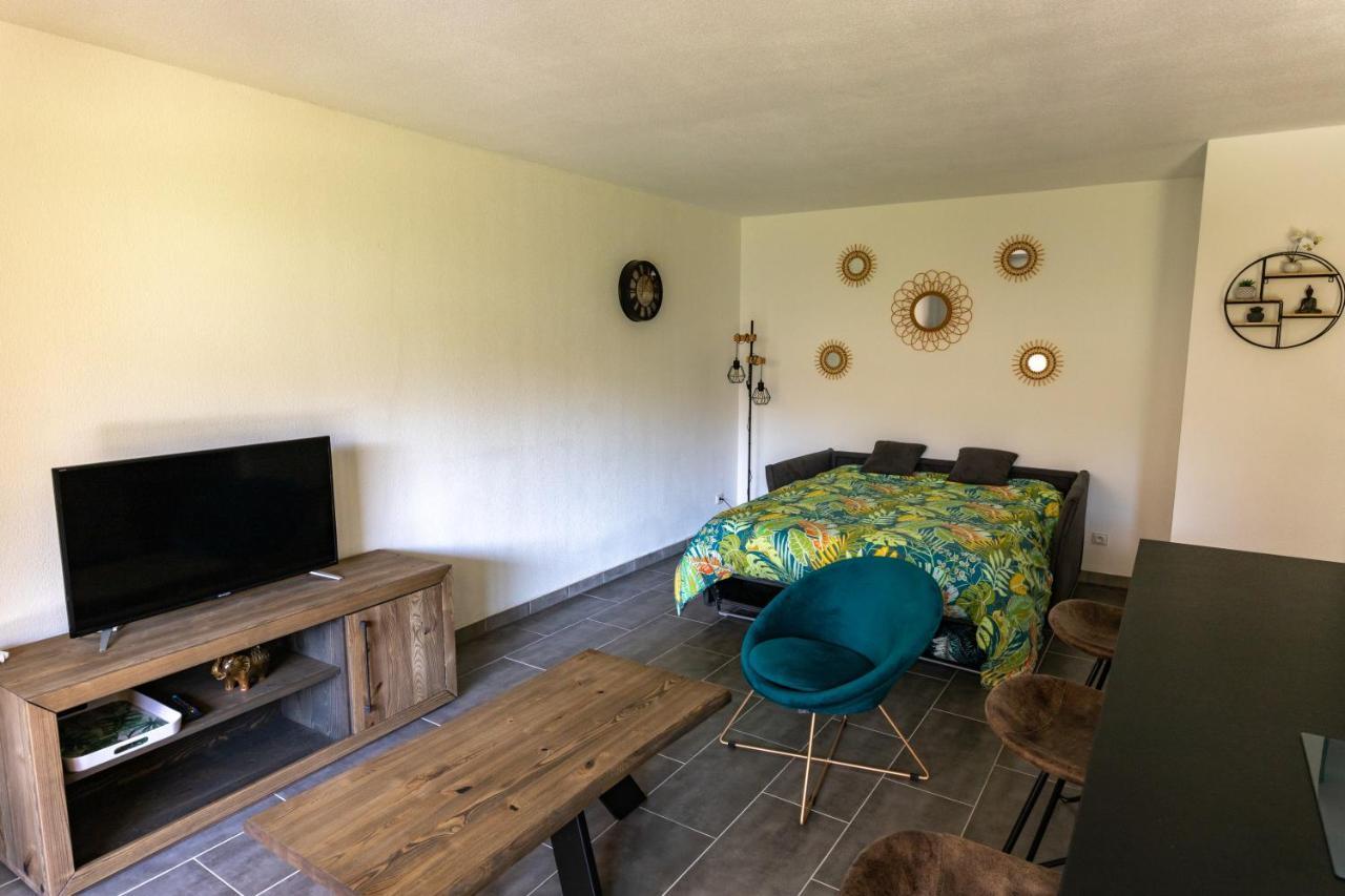 T2,Port, mer, piscine, climatisation,parking, WIFI Fréjus Esterno foto